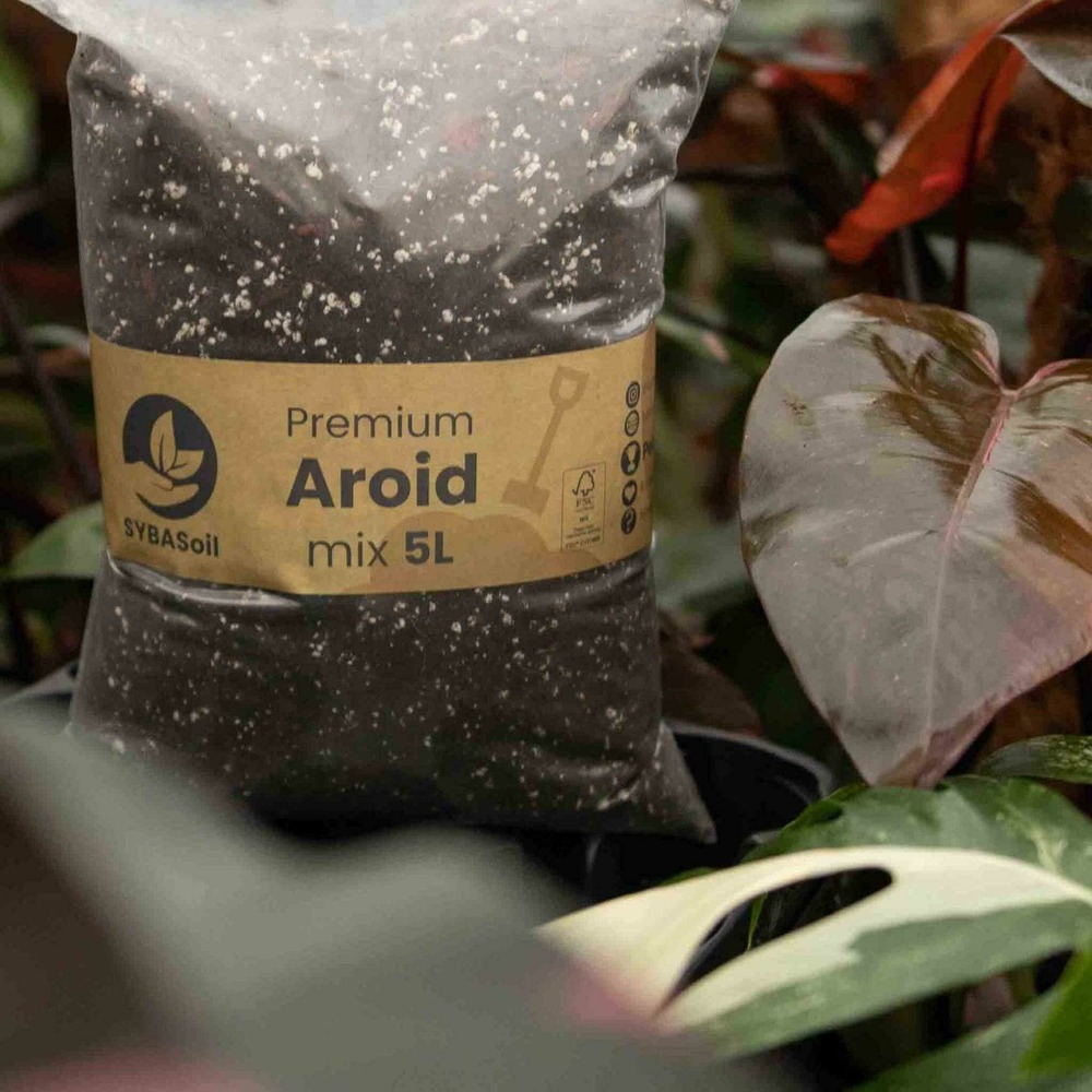 Mélange araceae - 5l