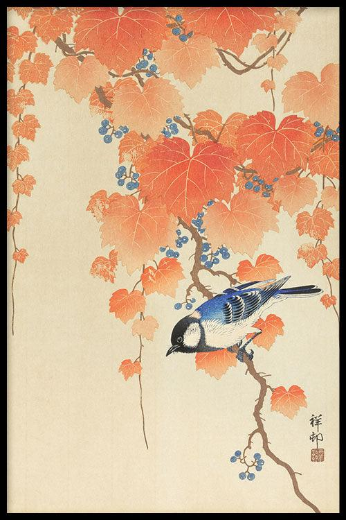 Walljar poster ingelijst - Ohara Koson - Great Tit On Paulownia Branch Poster ingelijst - 40 x 60 cm