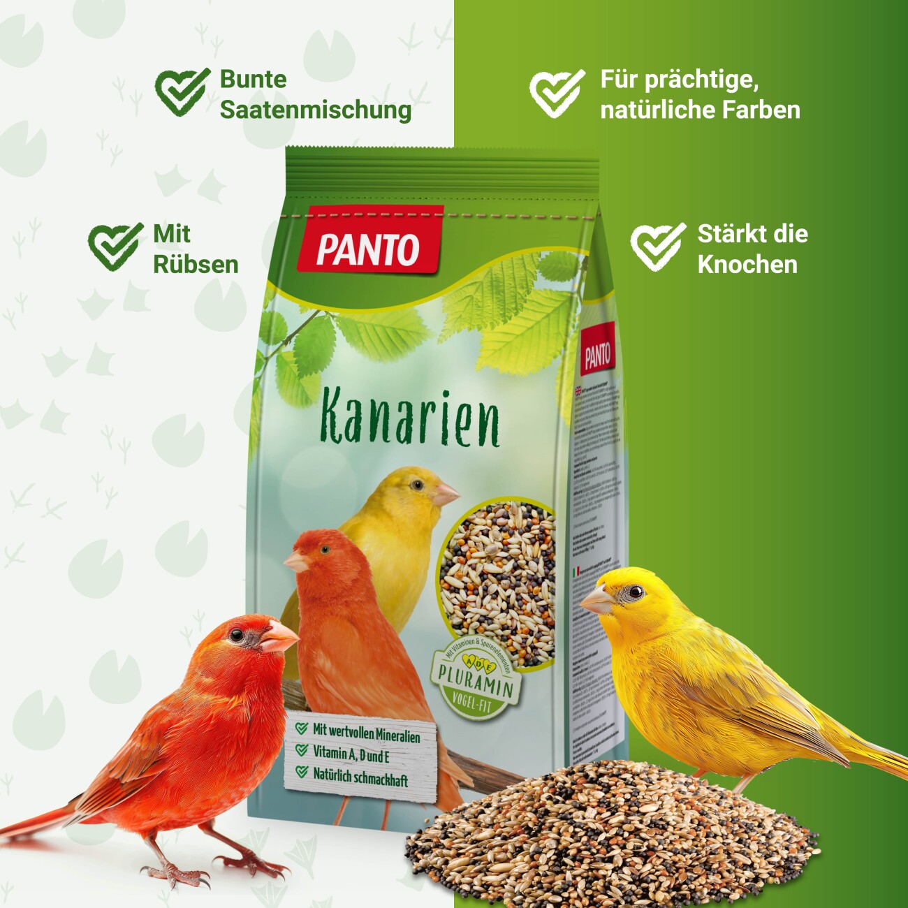 Panto ® KANARIENFUTTER MIT PLURAMIN® 1 kg