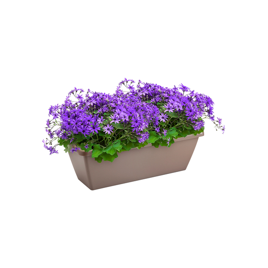 Jardinière barcelona en plastique taupe - 50x19,5x15,6 cm