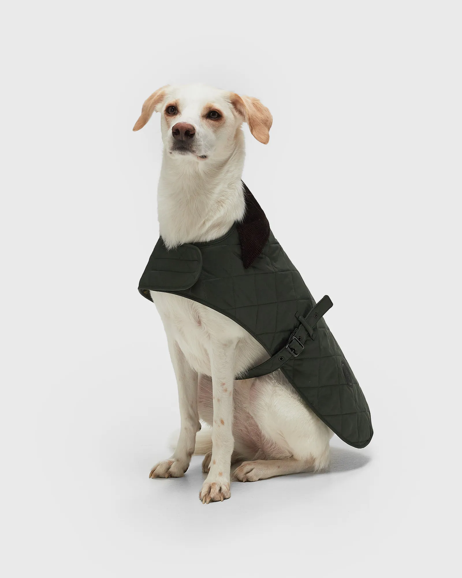 Barbour Quilted Dog Coat