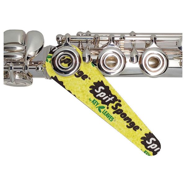 Key Leaves Spit Sponge Clarinet