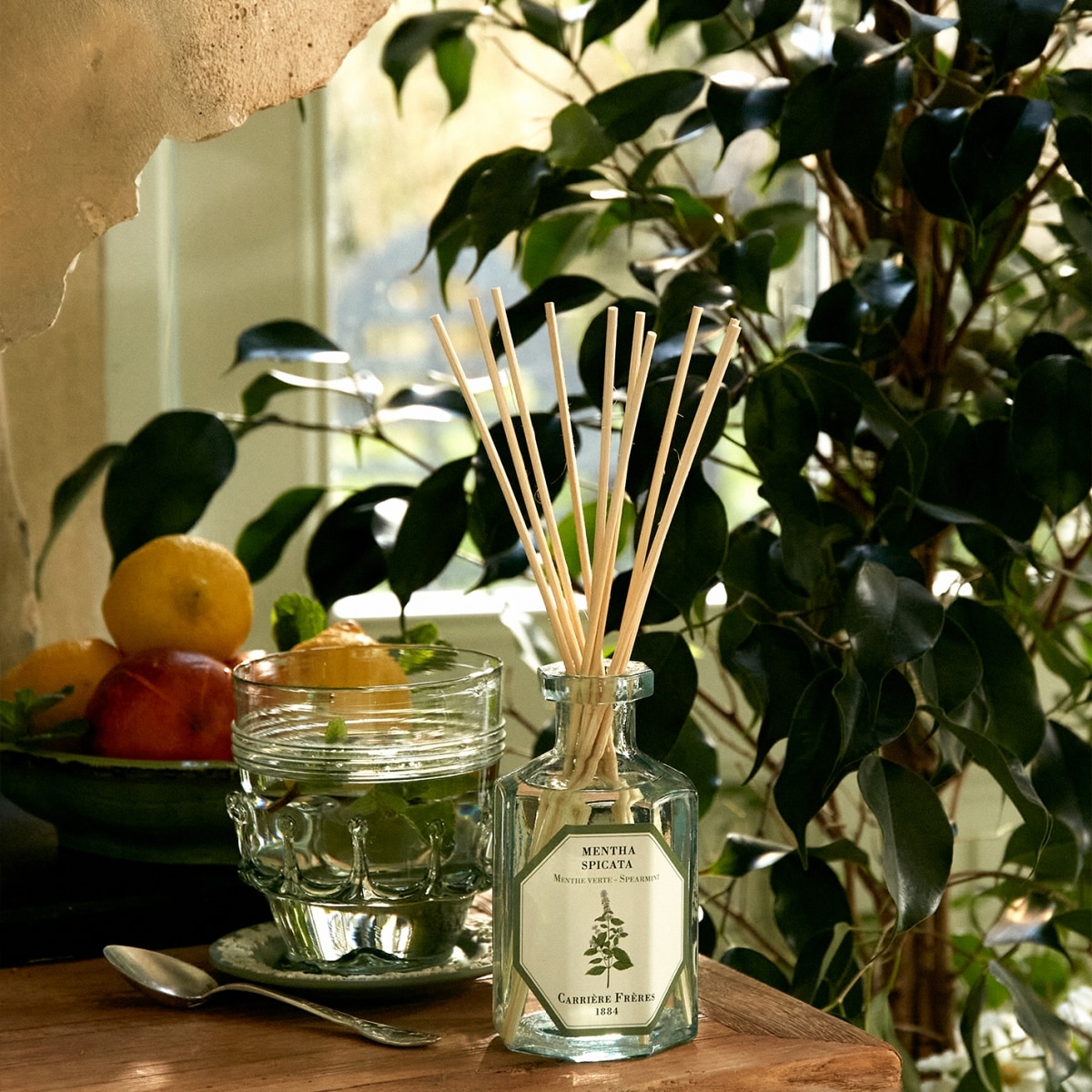 CARRIÈRE FRÈRES Menthe Verte - Mentha Spicata Diffuseur de Parfum