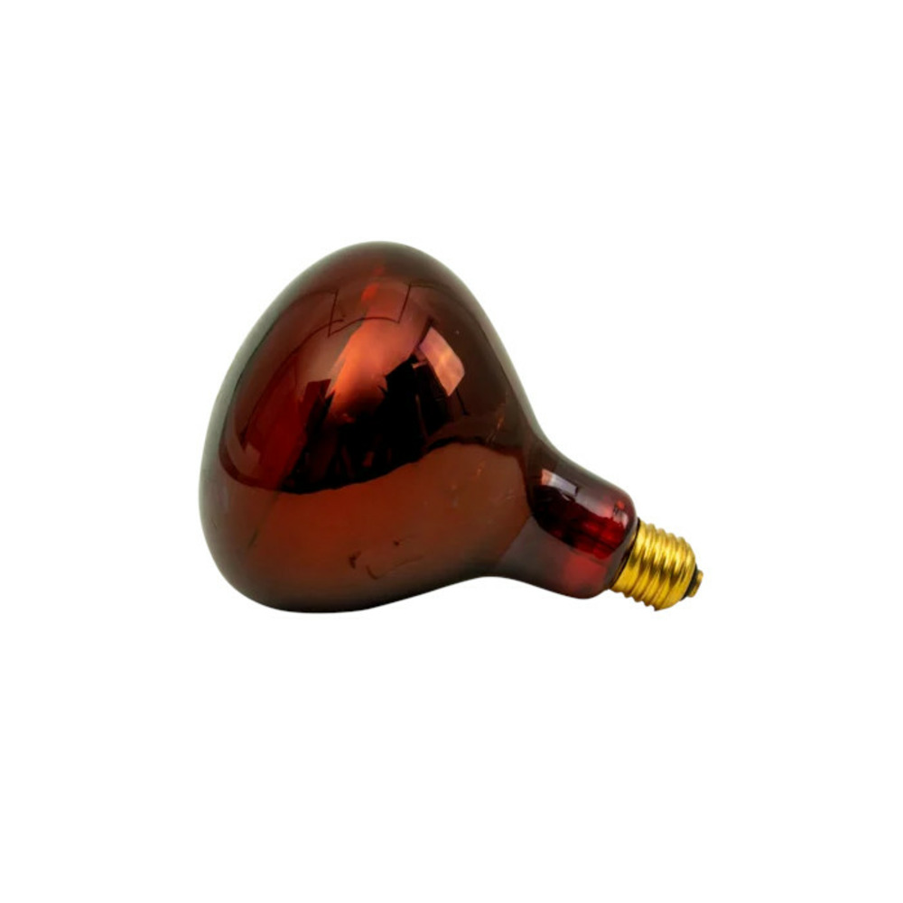 Ampoule infrarouge ir 150w rouge
