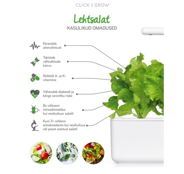 Click & Grow Smart Garden refill Salat 3stk