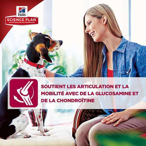 Croquettes chien adulte de grande taille au poulet - 18 kg