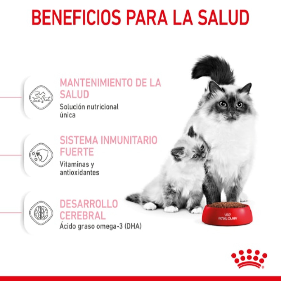 Ração para gatos Royal Canin Mother & Babycat