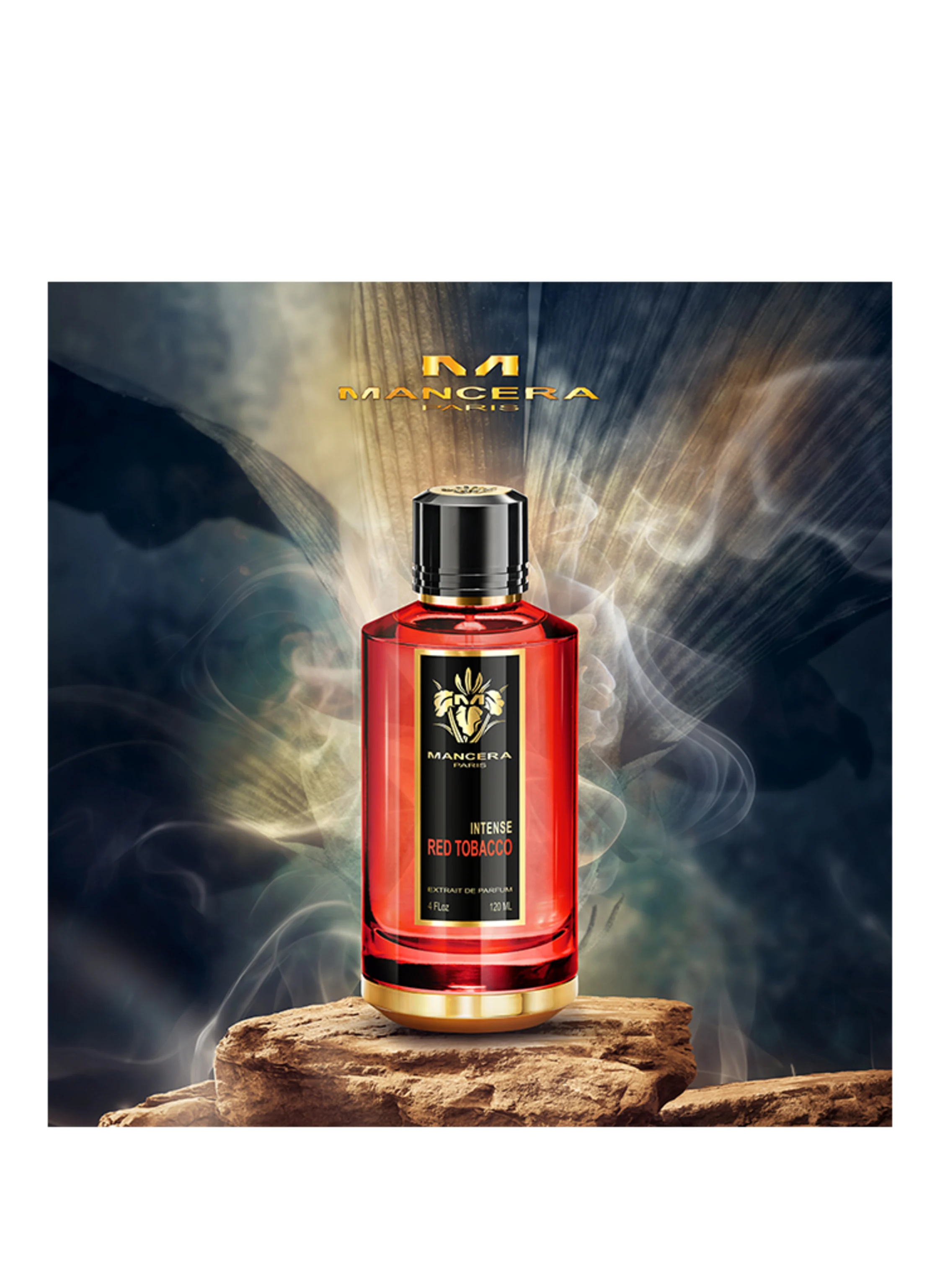 MANCERA INTENSE RED TOBACCO