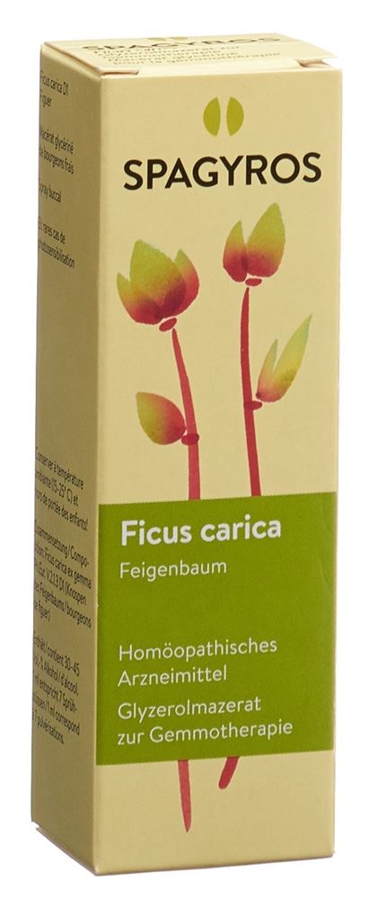 Spagyros Ficus carica 1 D<br>30 ml, Spray, Glycerinmazerat