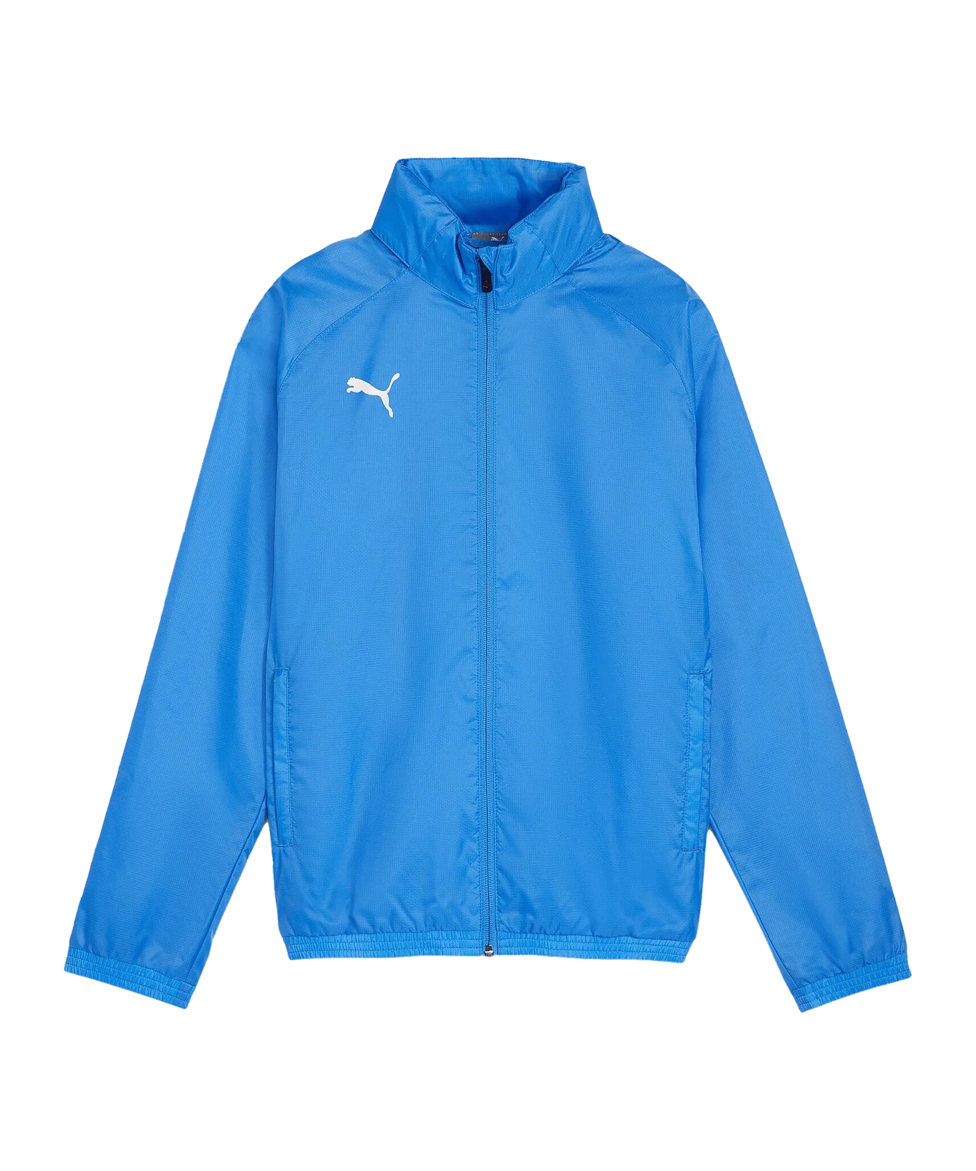 PUMA teamGOAL Allwetterjacke Kids Blau Weiss F02