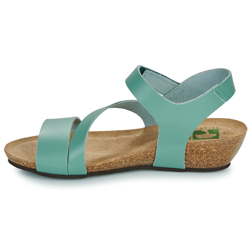 Dream in Green - ZIMINI - bleu