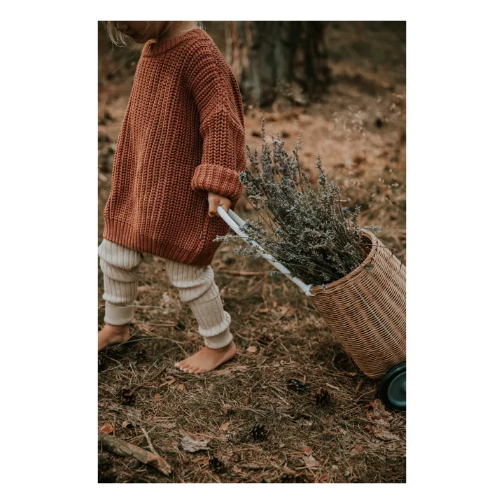 Yuki Pull Chunky Coton Bio | Terracotta