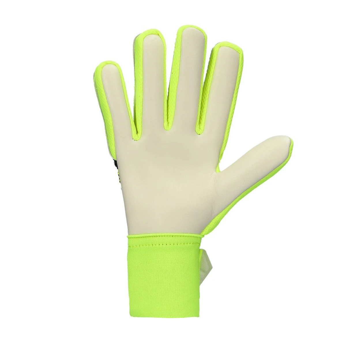 Luvas Reusch Attrakt Starter Solid