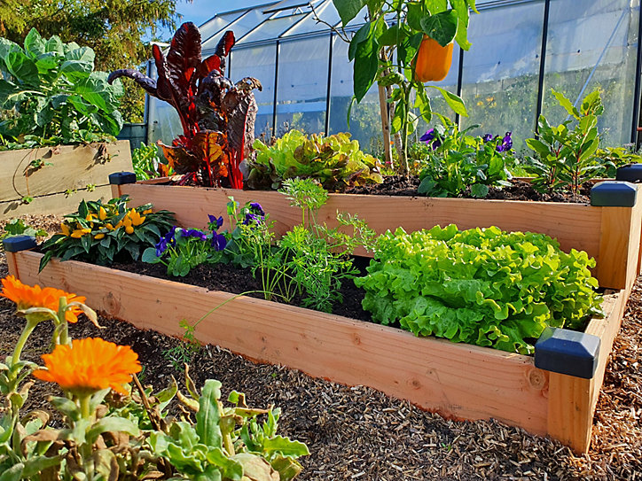 Jardinière Douglas Premium 2 étages 126 x 66 x 26 cm Mon Petit Potager
