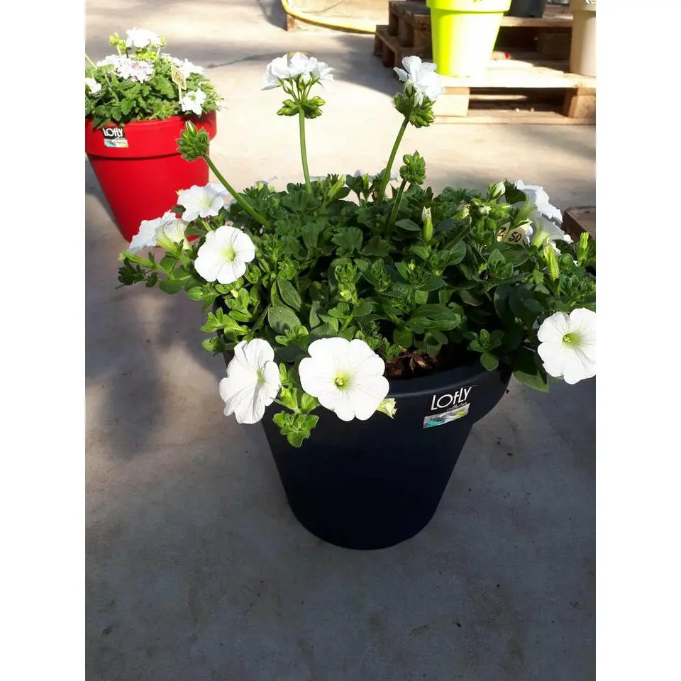 Prosperplast Bloempot - D40 x H35 cm - antraciet - kunststof