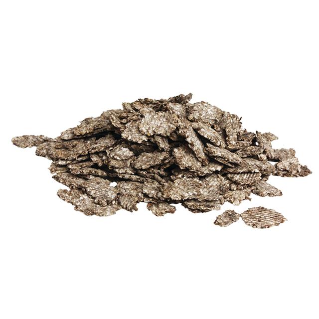 Pavo SpeediBeet 15kg