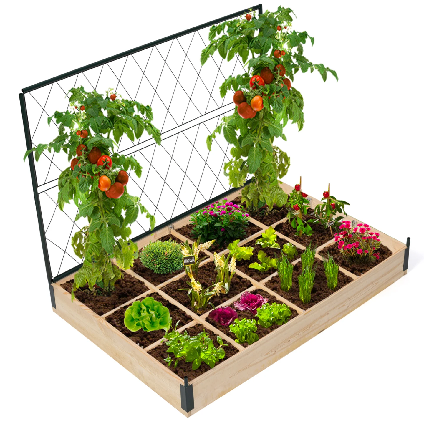 Kit complet 3 bacs modulables carrés potager et serre à tomates + treillis + housse