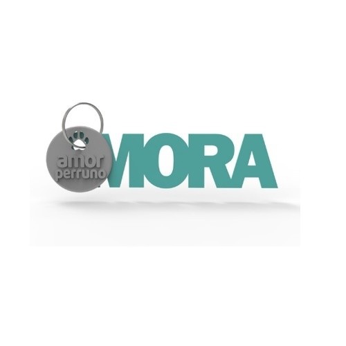 Chaveiro personalizado Seron, amor por cachorros, turquesa