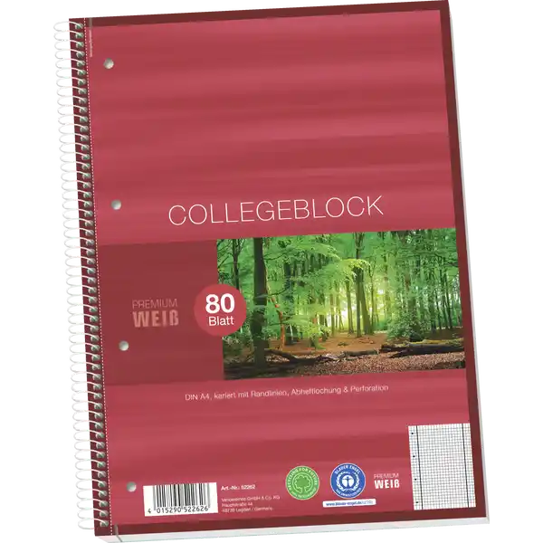 A4 Collegeblock, kariert mit Doppelrandlinien, 80 Blatt
