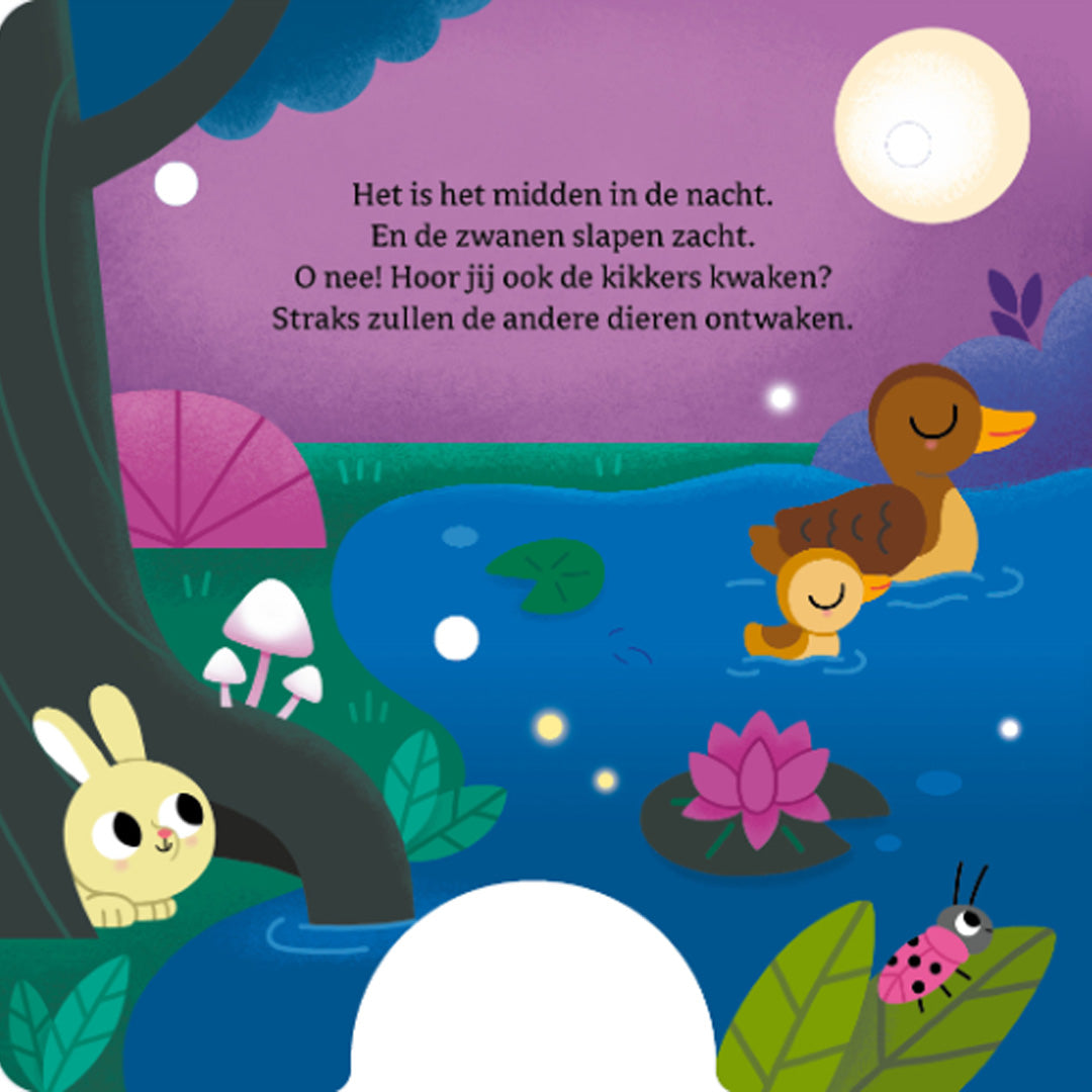 uitgeverij ballon mijn lichtjesboek - dieren in de nacht