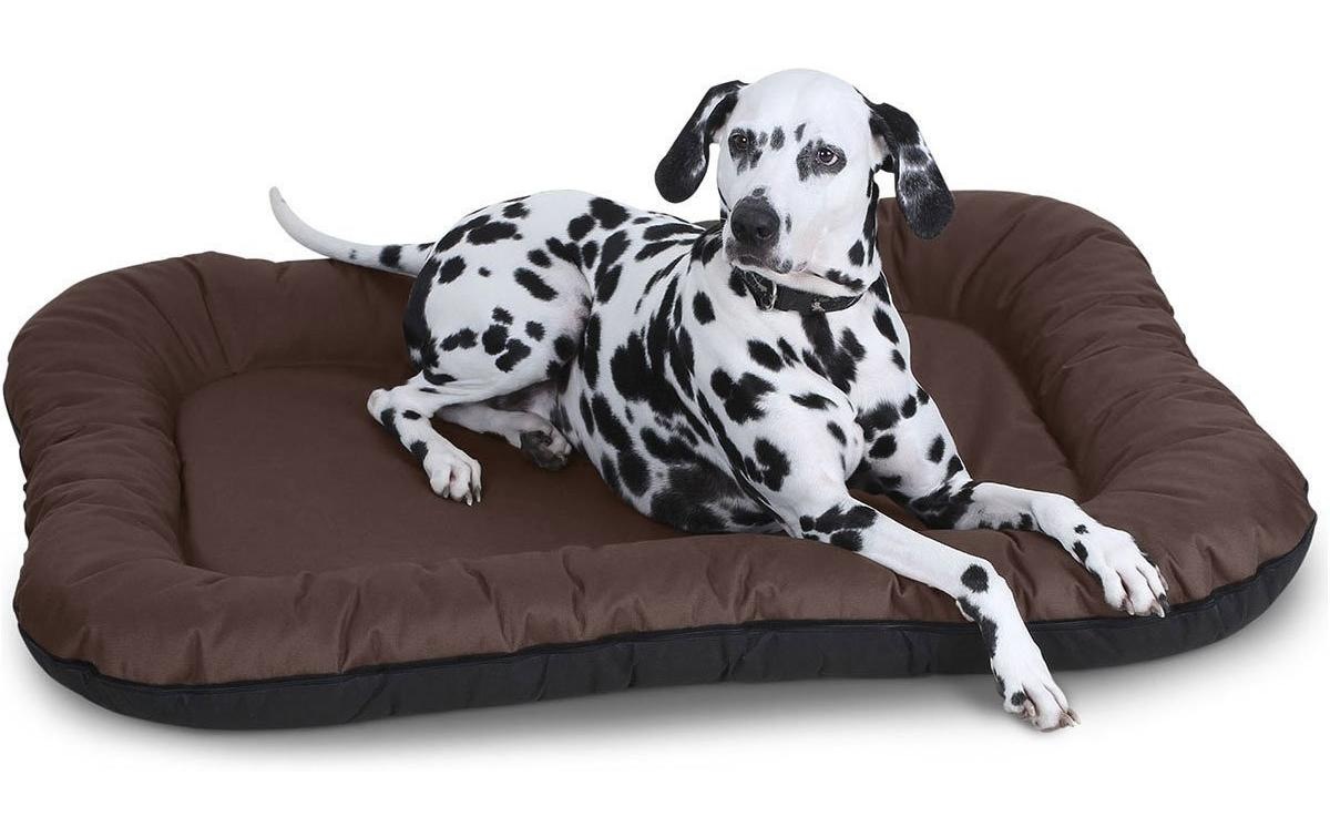 Knuffelwuff Tierbett »Bett Lucky braun Gr.XXL«