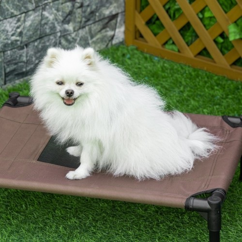Cama elevada marrom para cães PawHut