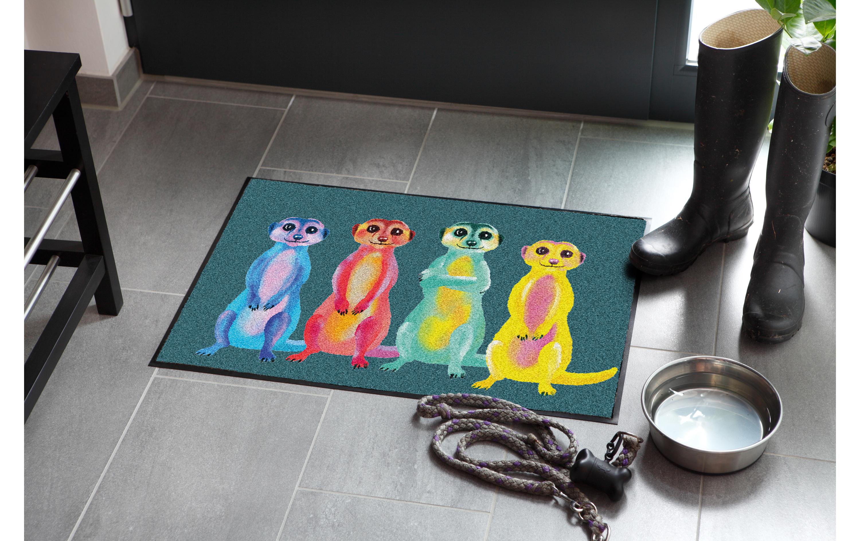 Fussmatte Rainbow Meerkats 50 cm x 75 cmAnti-Rutsch-Fussmatte