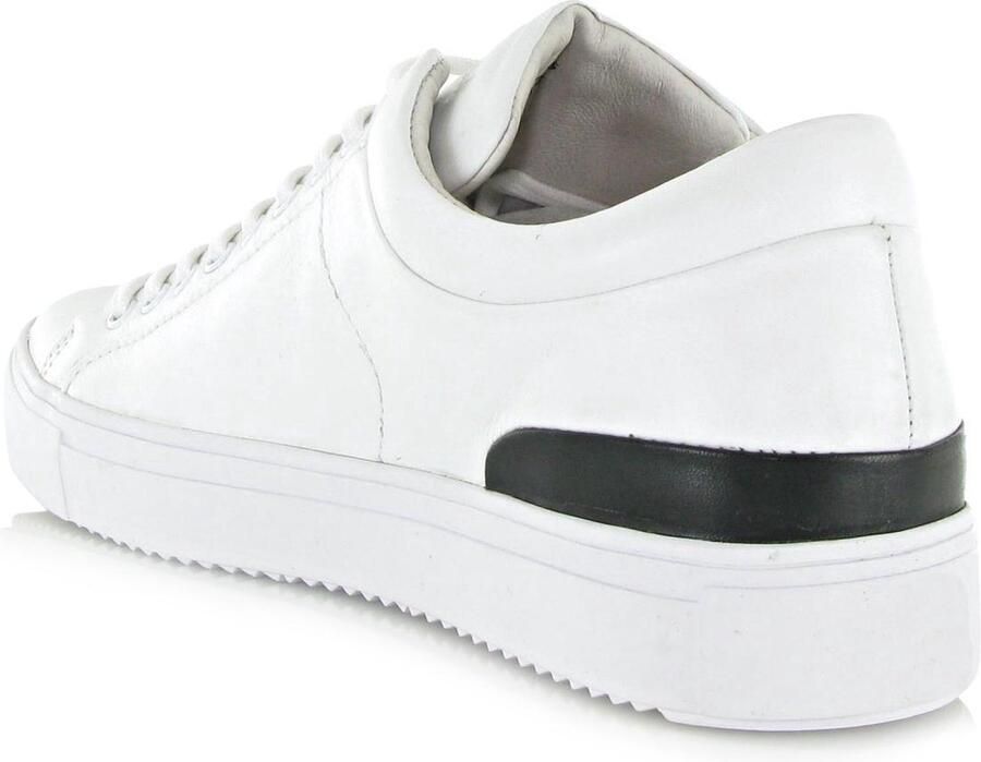 Blackstone MITCHELL PM56 White Sneaker (low) Heren White