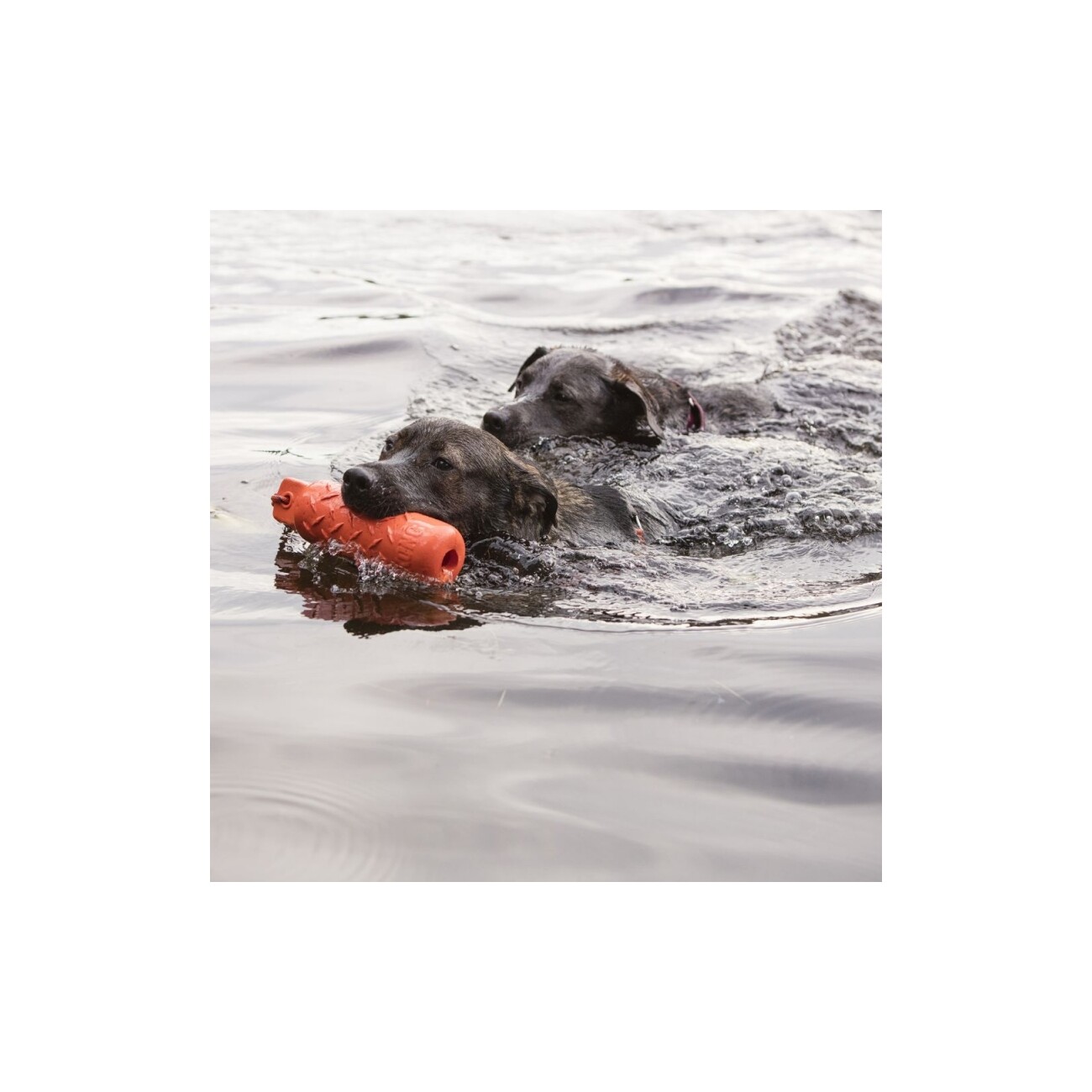 KONG Spielzeug Dummy XL