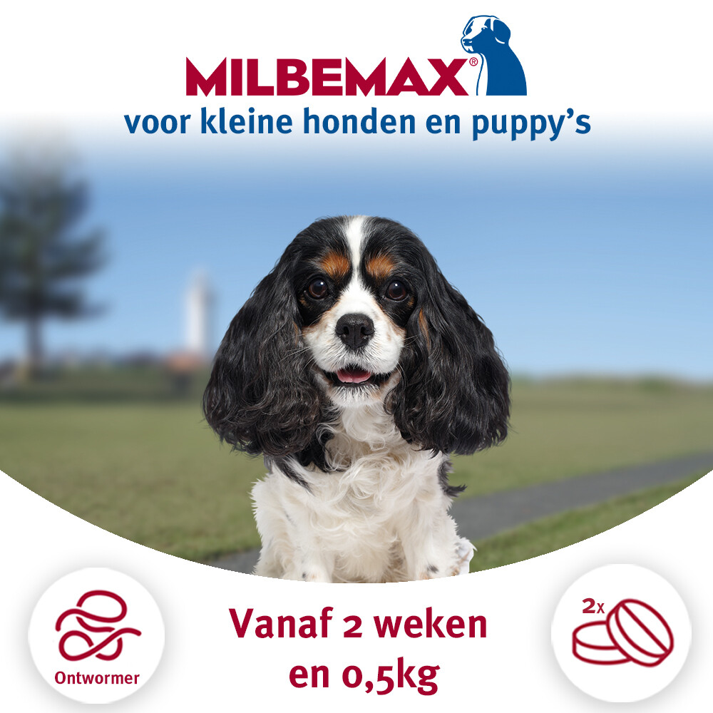 Milbemax Ontworming Tabletten Hond 0,5 - 10 kg2 tabletten