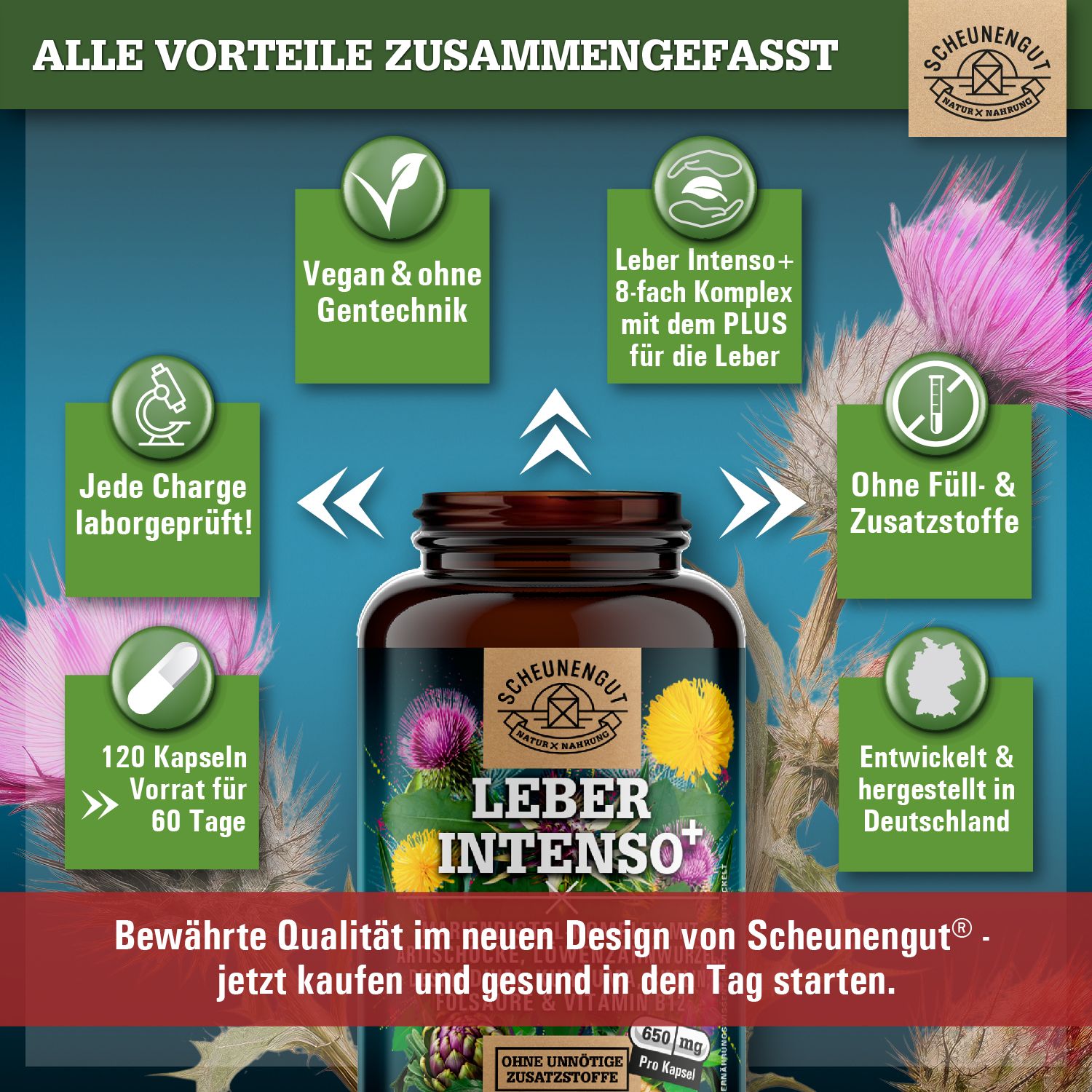 Scheunengut® LEBER INTENSO+ | Extra starker Leber Komplex mit Cholin