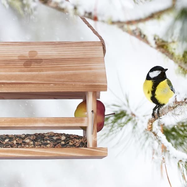 Værbestandig fuglemater