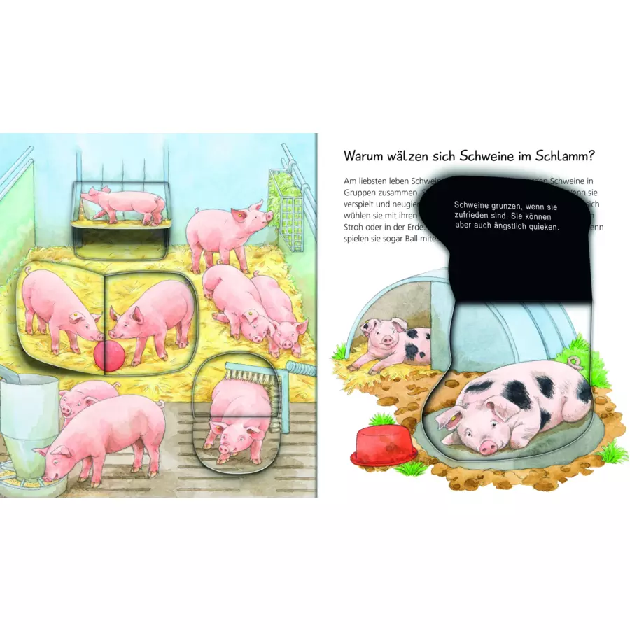 Ravensburger Wieso? Weshalb? Warum? Mein Junior zum Hören Band 1: Bauernhoftiere