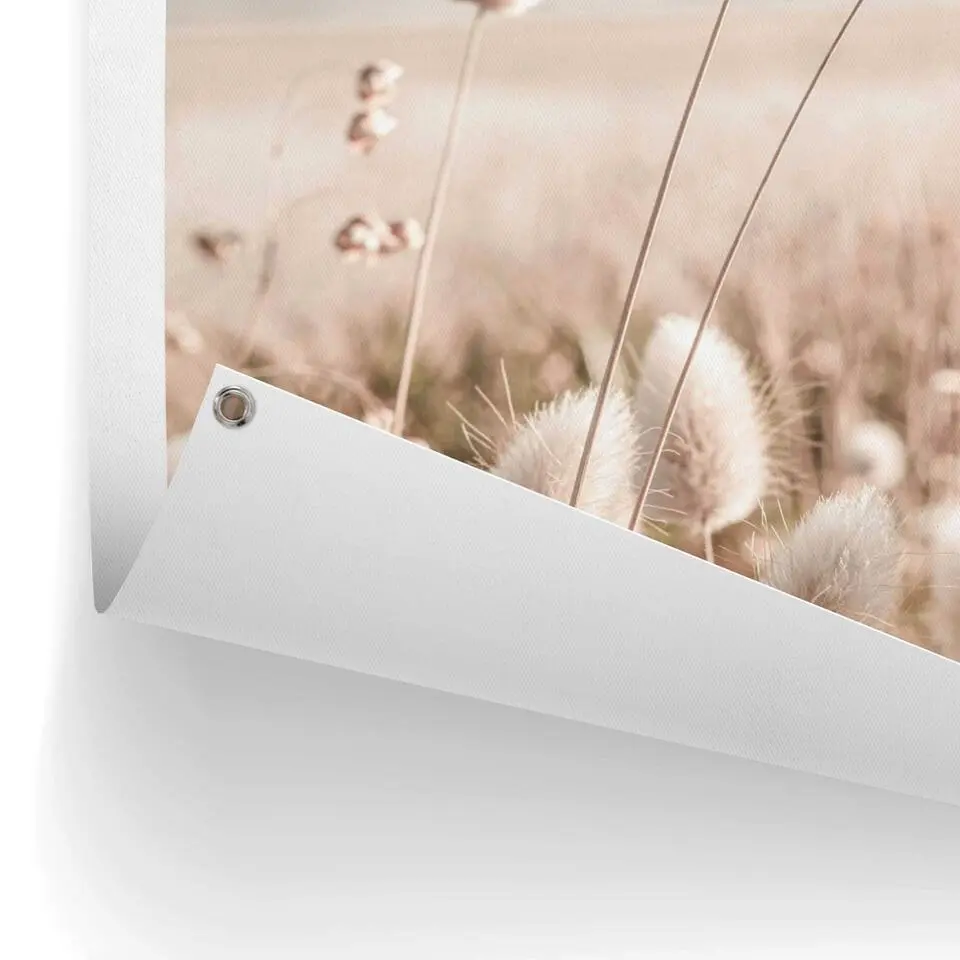 Tuinposter Grasses - 80x60cm - Beige