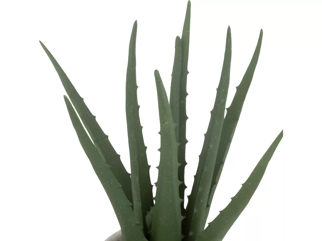 Plante artificielle Aloe vera Pot en coton H 29 cm