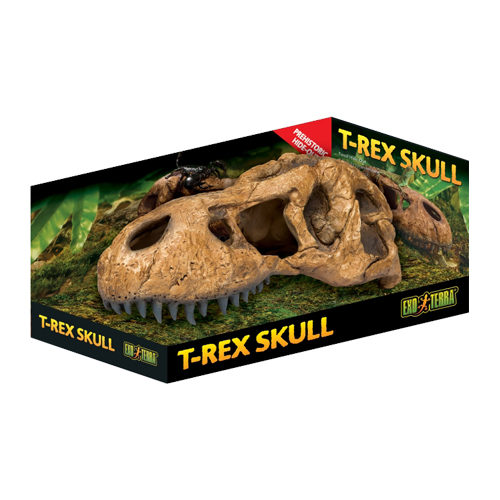 Exo Terra T-Rex Skull Fossiele Schuilplaats