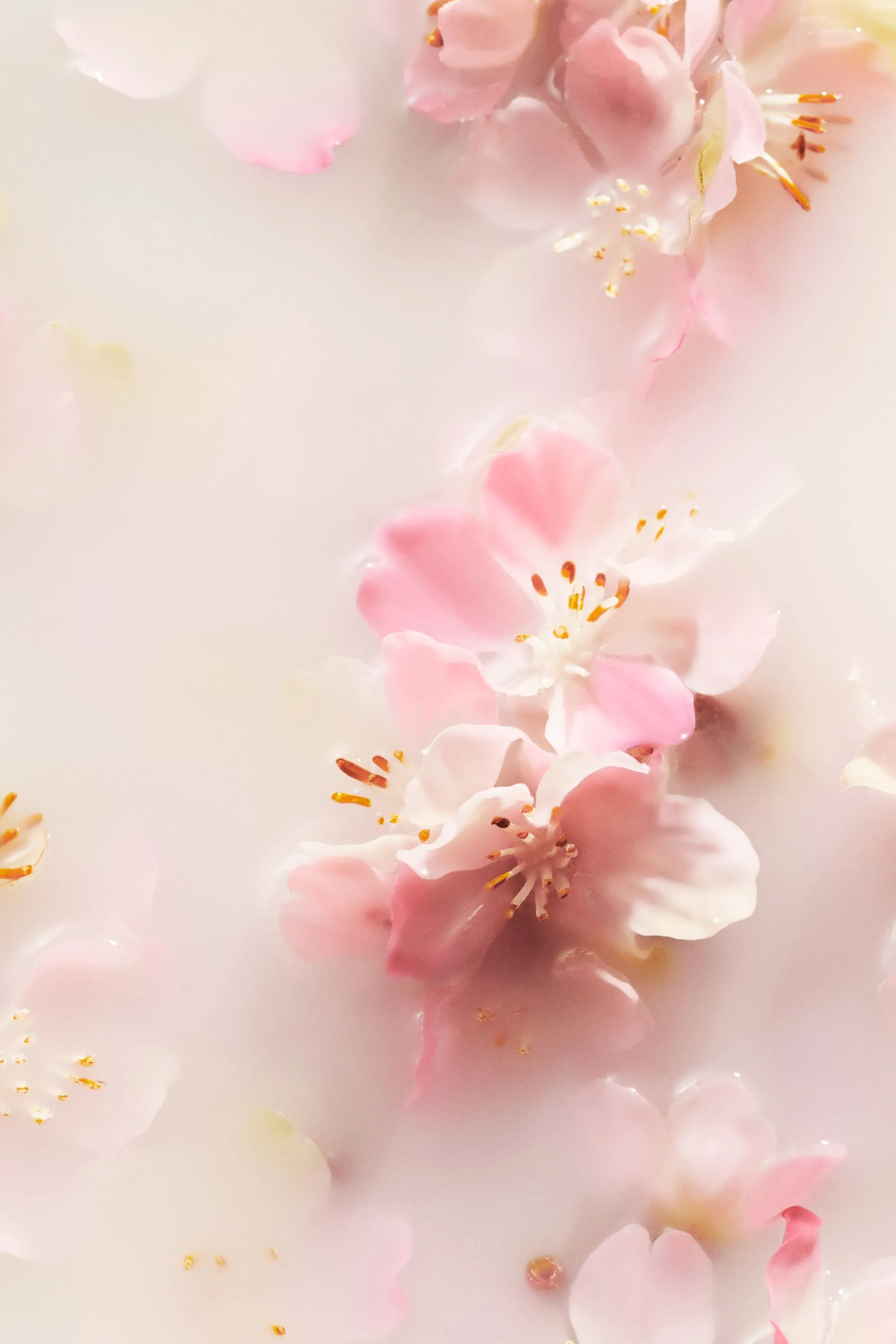 Rituals Coffret ressourçant The Ritual of Sakura S