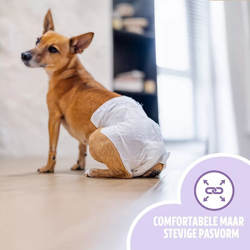 EasyPets Hondenluiers Teef Hond 30 stuks | S/M | 20043.2