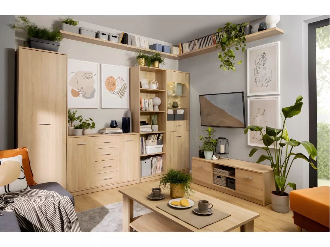 Armoire colonne 1 porte Ewen Bois