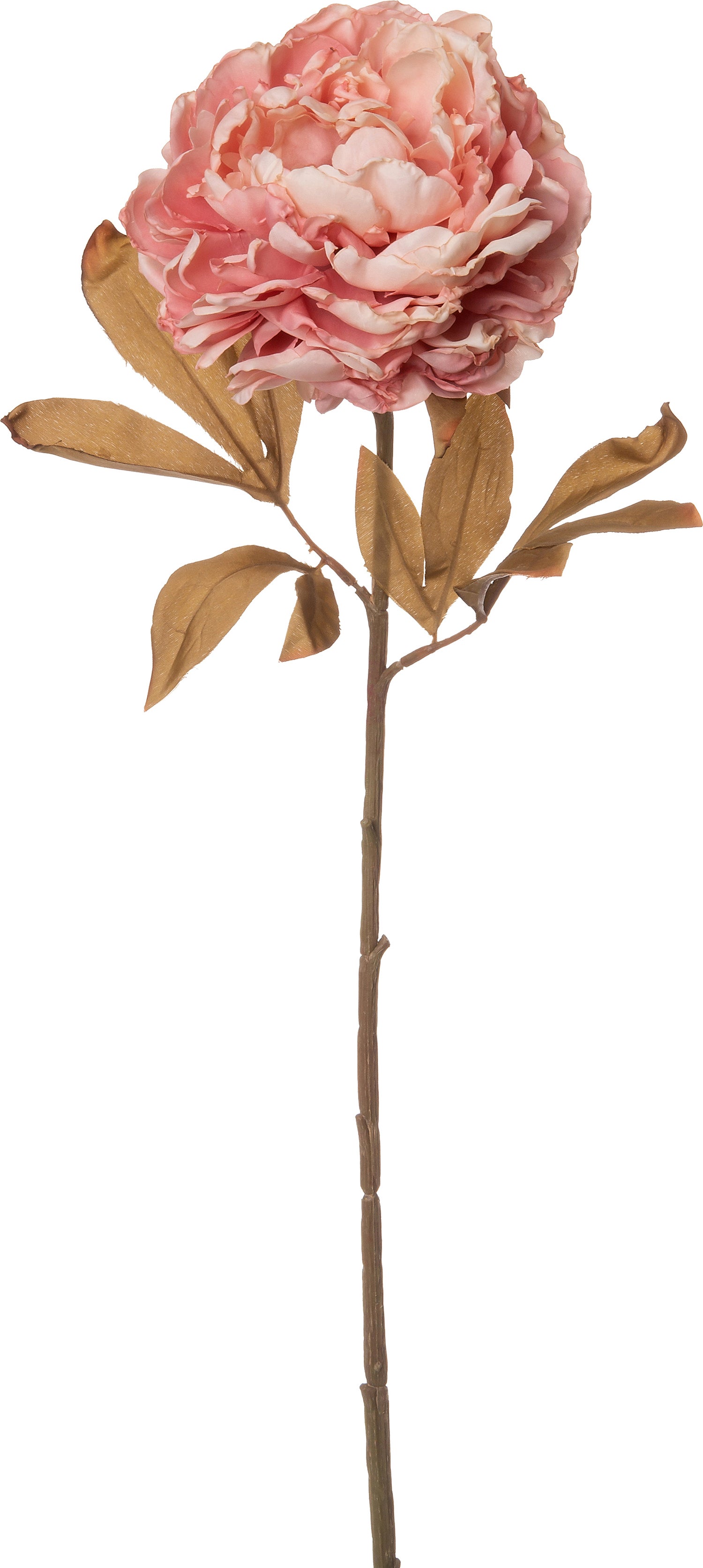 Intratuin kunstbloem Pioen 77 cm roze