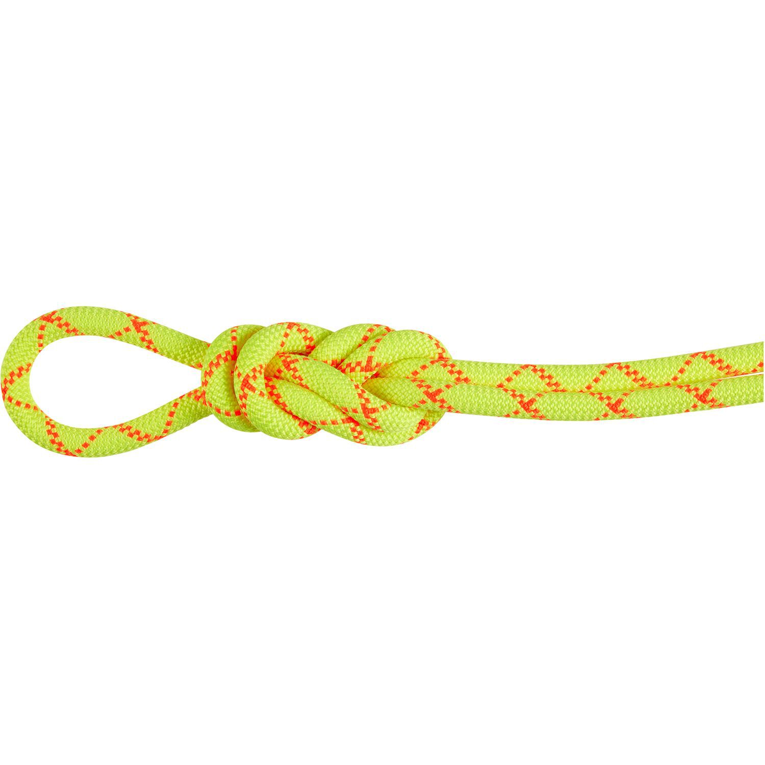 Mammut9.5 Alpine Core Protect Dry Rope
