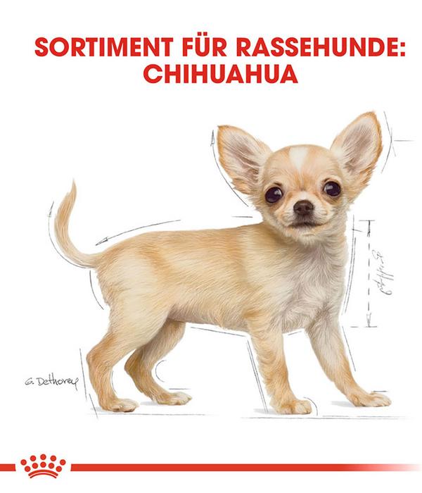 ROYAL CANIN® Trockenfutter für Hunde