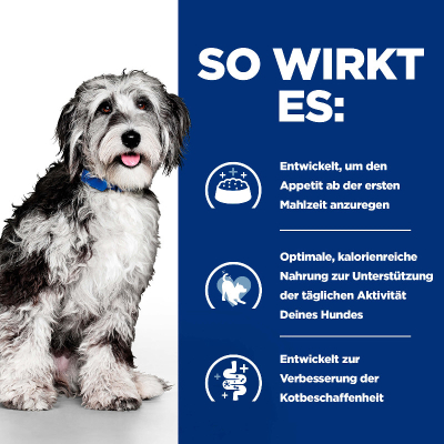 Hill's VET Hund Prescription Diet On-Care Ragout Huhn 12x354g