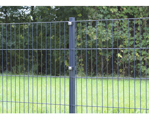 Palen voor enkeldraads gaaspanelen voor betonnering, 4 x 4 x 150 cm, antraciet