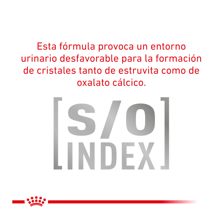 Sachês Royal Canin Veterinary Urinary Moderate Calorie para gatos