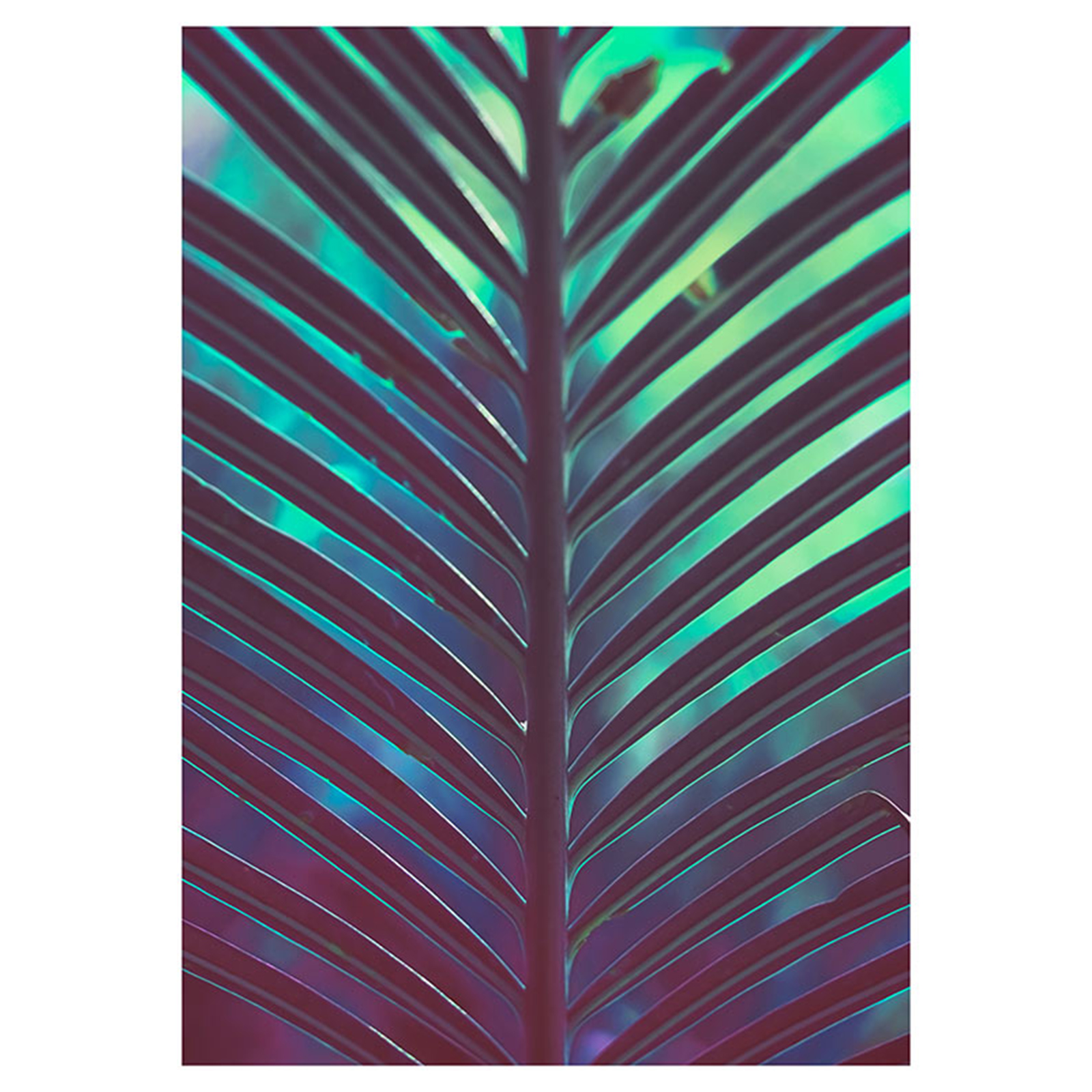Wandbild HIDE - bunt - 50x70 cm