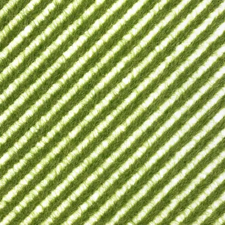 Busch - Grasstreifen Frühling