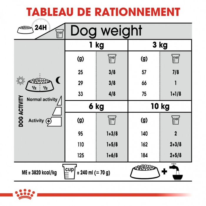 Royal Canin Mini Dental Care - Croquettes pour chien