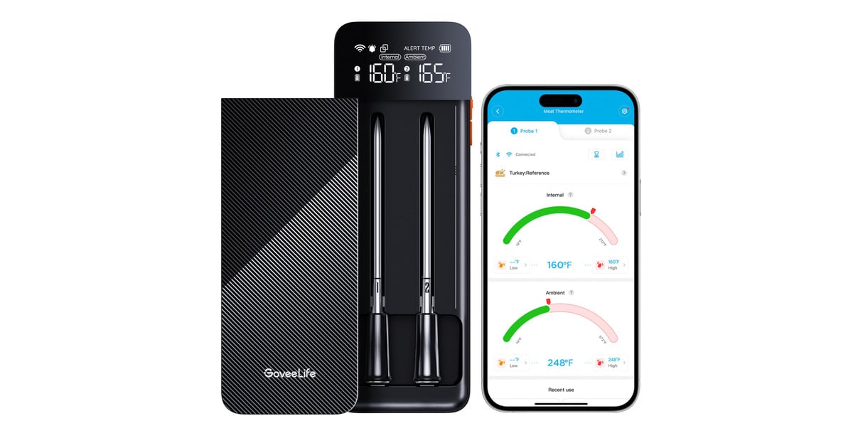 GoveeSmart Wireless Meat Thermometer  (Zwart, 2.4GHz Wi-Fi, Bluetooth)