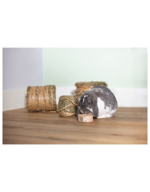 Beeztees Boomstammetjes - Knaagdiersnack - Wortel Mais 9x3.5 cm
